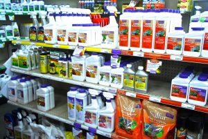 What Are the Best Weed Control Products?