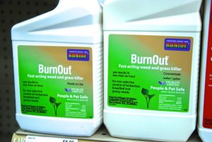 Bodine Burnout weed control